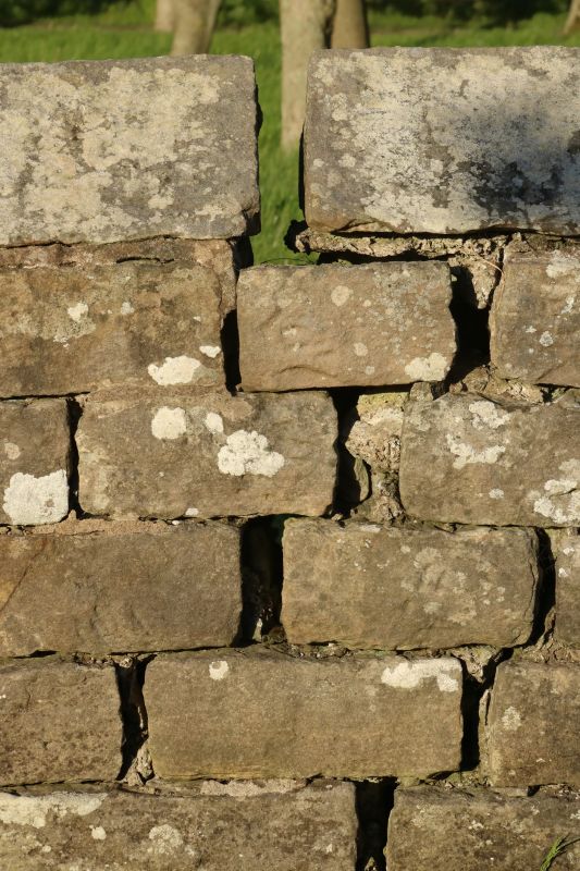 Stone Wall Repair in Senoia, GA